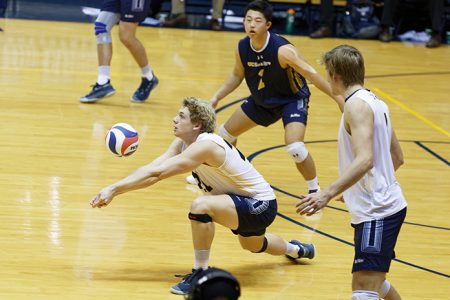Kyle McCauley UCSD 4/24/2020, Kyle McCauley, UCSD volleyball