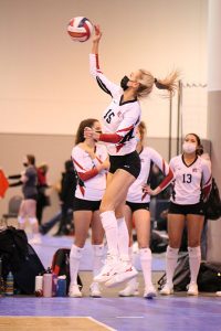 Daily Dots 4/8/2021-Mad Dog