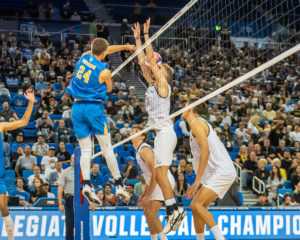 UCLA